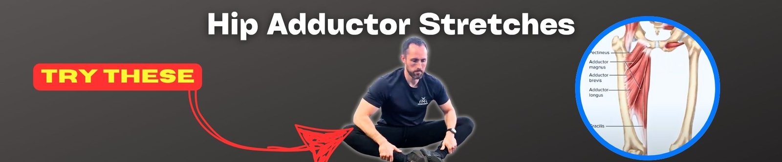 hip adductor stretches