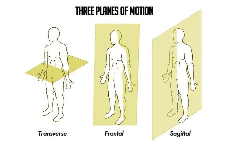 Planes of movement back rehab