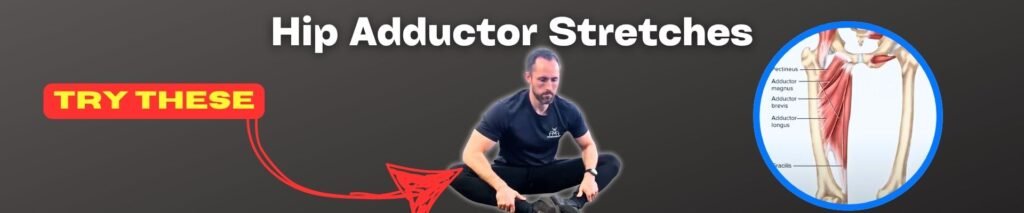hip adductor stretches