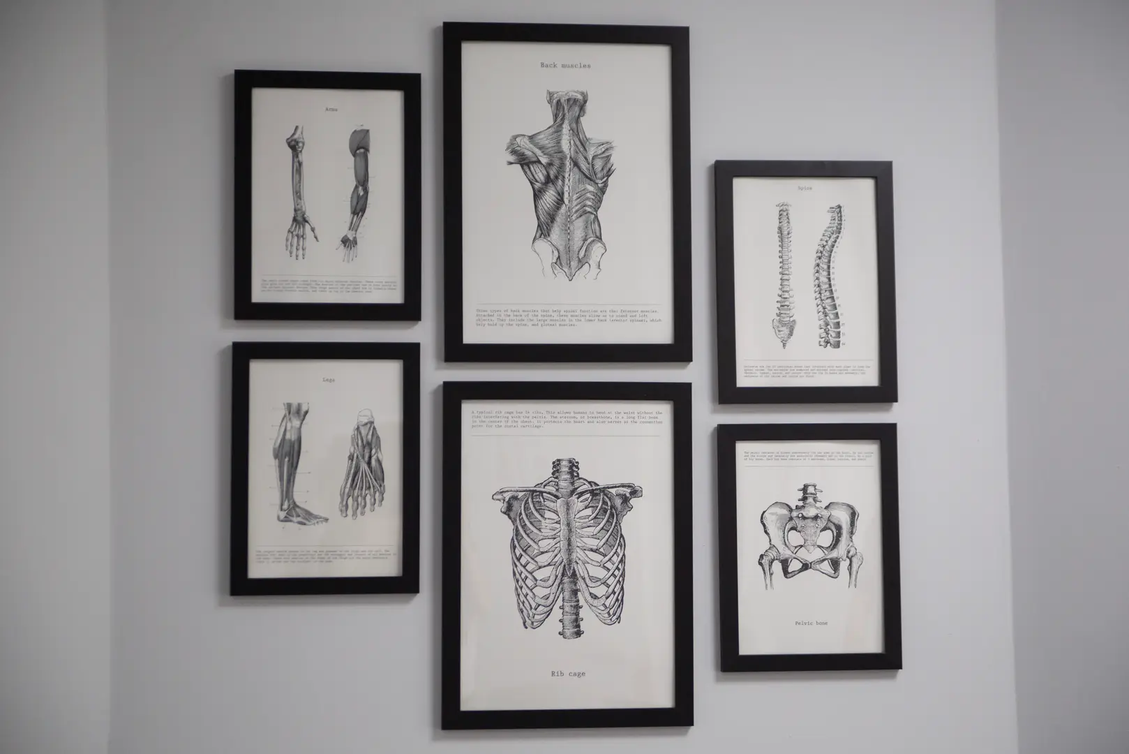 AMR Physiotherapy - Our Treatments